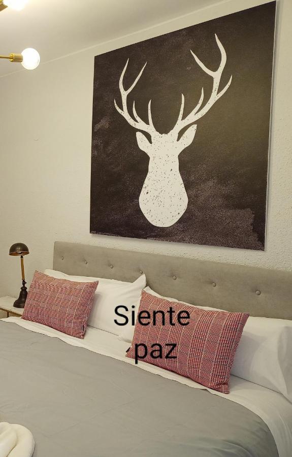 Origen Pelaire Excelente Limpieza Y Ubicacion Apartment Biescas  Exterior foto